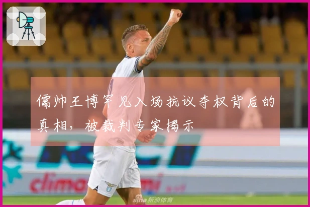 儒帅王博罕见入场抗议夺权背后的真相，被裁判专家揭示