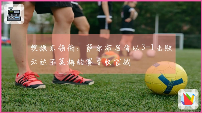 樊振东领衔，萨尔布吕肯以3-1击败云达不莱梅的赛季收官战