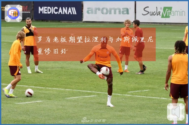 罗马老板期望拉涅利与加斯佩里尼重修旧好